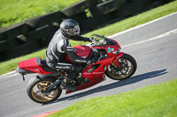 brands-hatch-photographs;brands-no-limits-trackday;cadwell-trackday-photographs;enduro-digital-images;event-digital-images;eventdigitalimages;no-limits-trackdays;peter-wileman-photography;racing-digital-images;trackday-digital-images;trackday-photos
